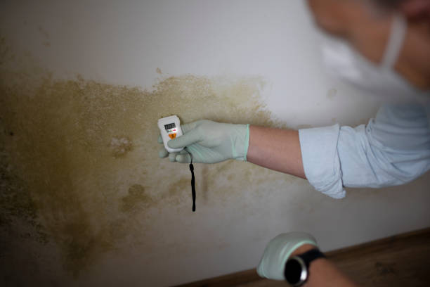 Water Damage Restoration in Elk Plain, WA